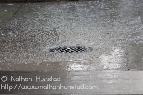 Rain_2008-08-16_IMG_1367